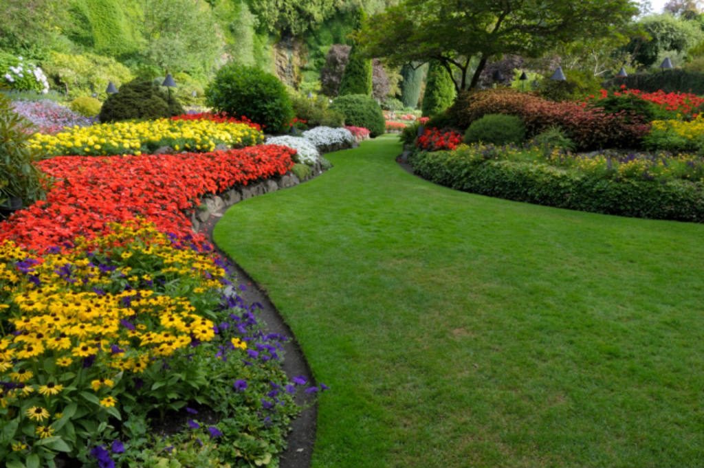 Professional Landscaping Service In, Landscaping Companies In Hanover Park
