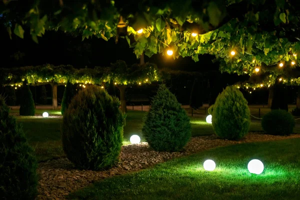Landscape Lighting Installation