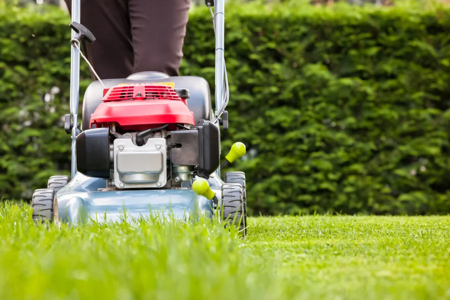 Professional Landscaping Contractor in Elkridge, MD